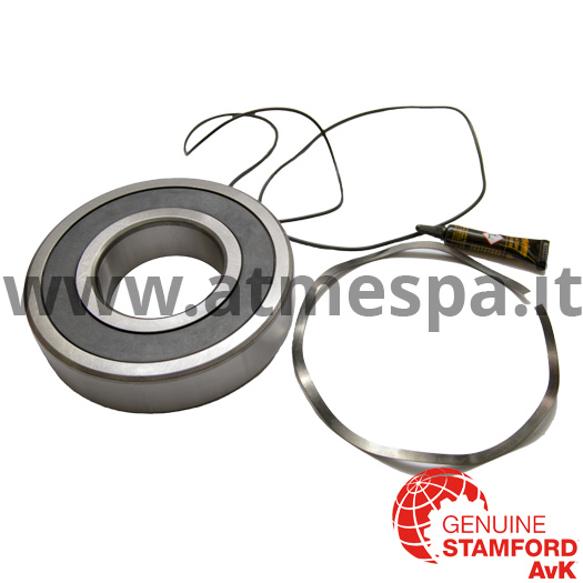 Genuine Stamford AvK - Bearings